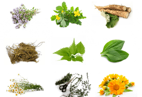 home remedies to enlarge the penis
